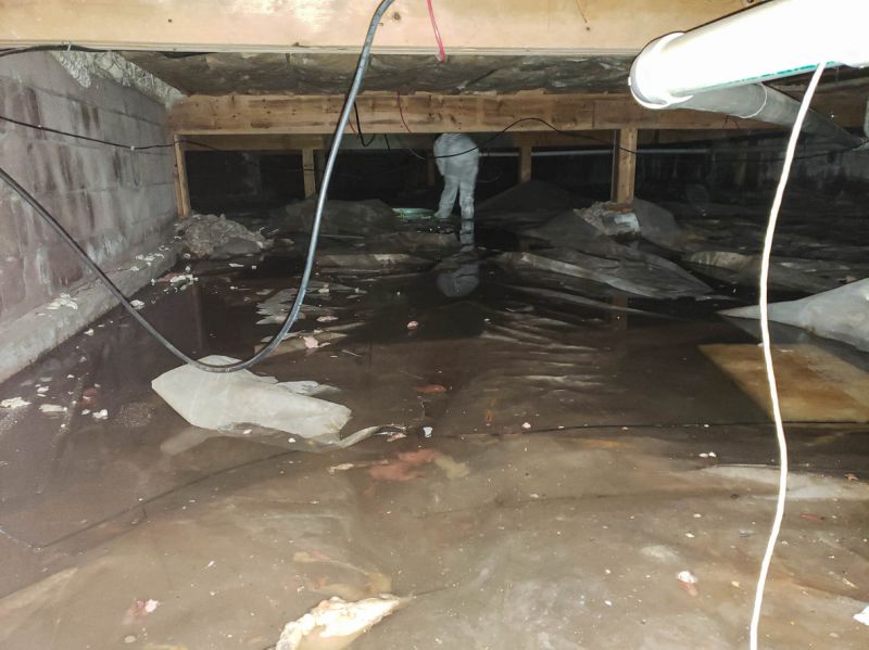 Crawlspace Waterproofing in Tampa, FL